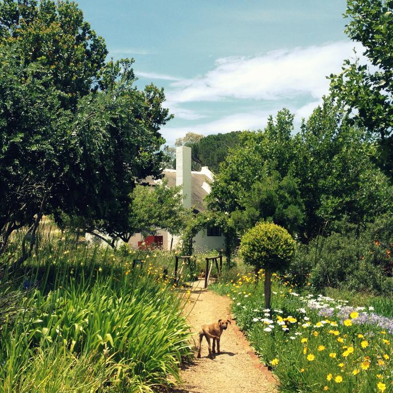 Mooi Bly Villa Paarl Kamer foto