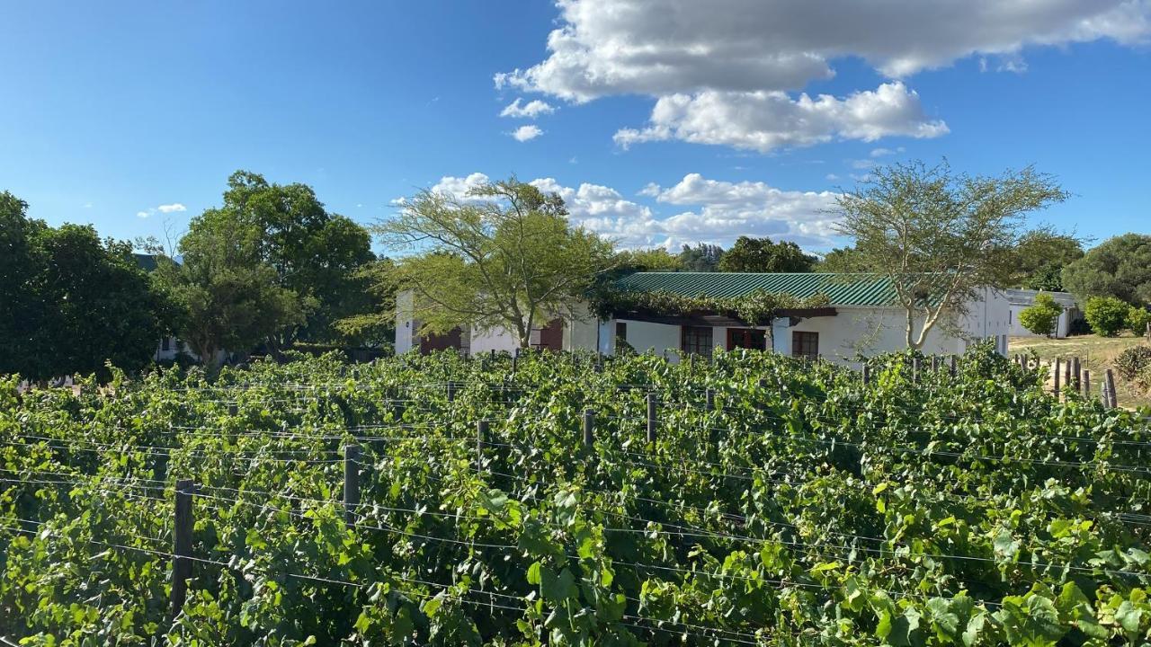 Mooi Bly Villa Paarl Buitenkant foto