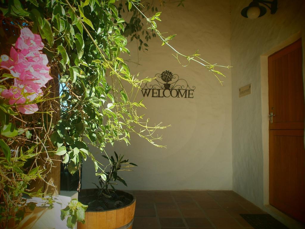 Mooi Bly Villa Paarl Buitenkant foto