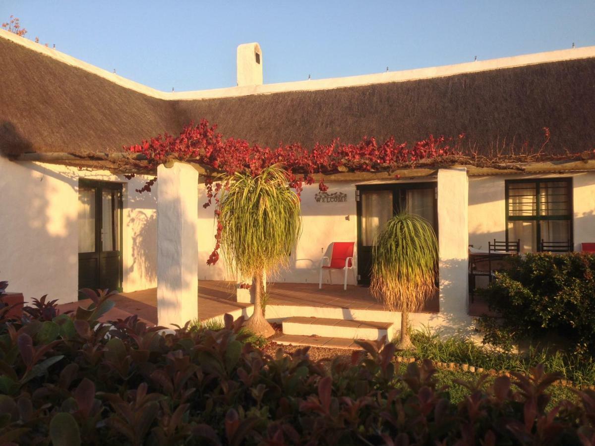 Mooi Bly Villa Paarl Buitenkant foto