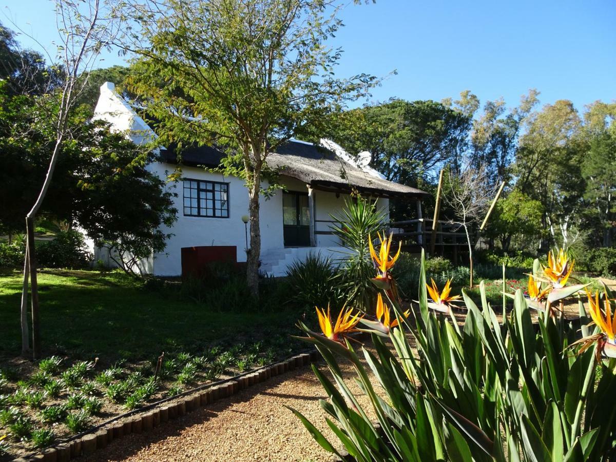 Mooi Bly Villa Paarl Buitenkant foto