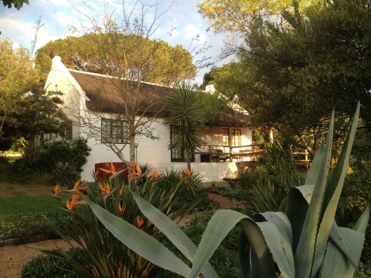 Mooi Bly Villa Paarl Buitenkant foto